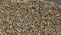 Gold Flint 20mm