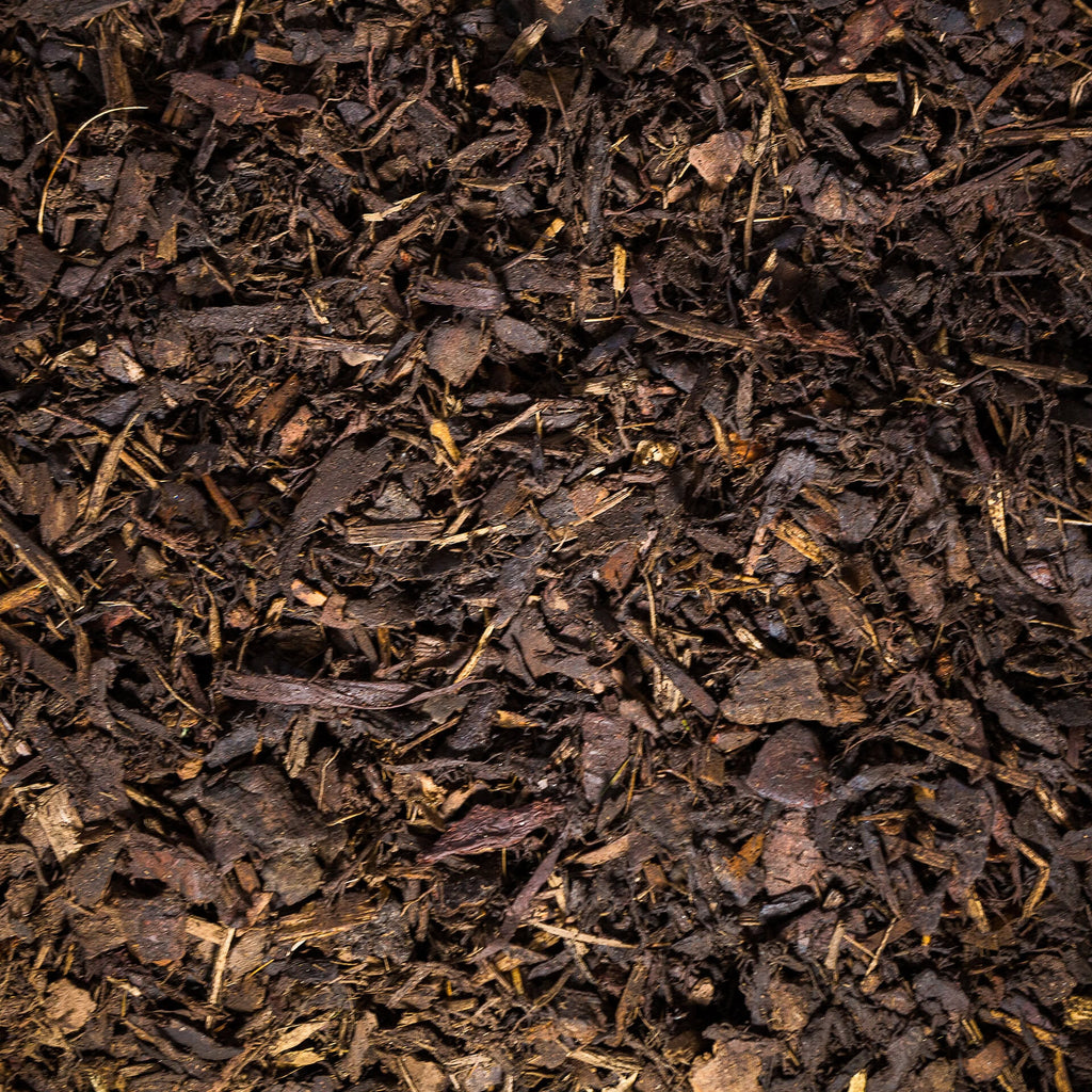 Mini Chip Bark