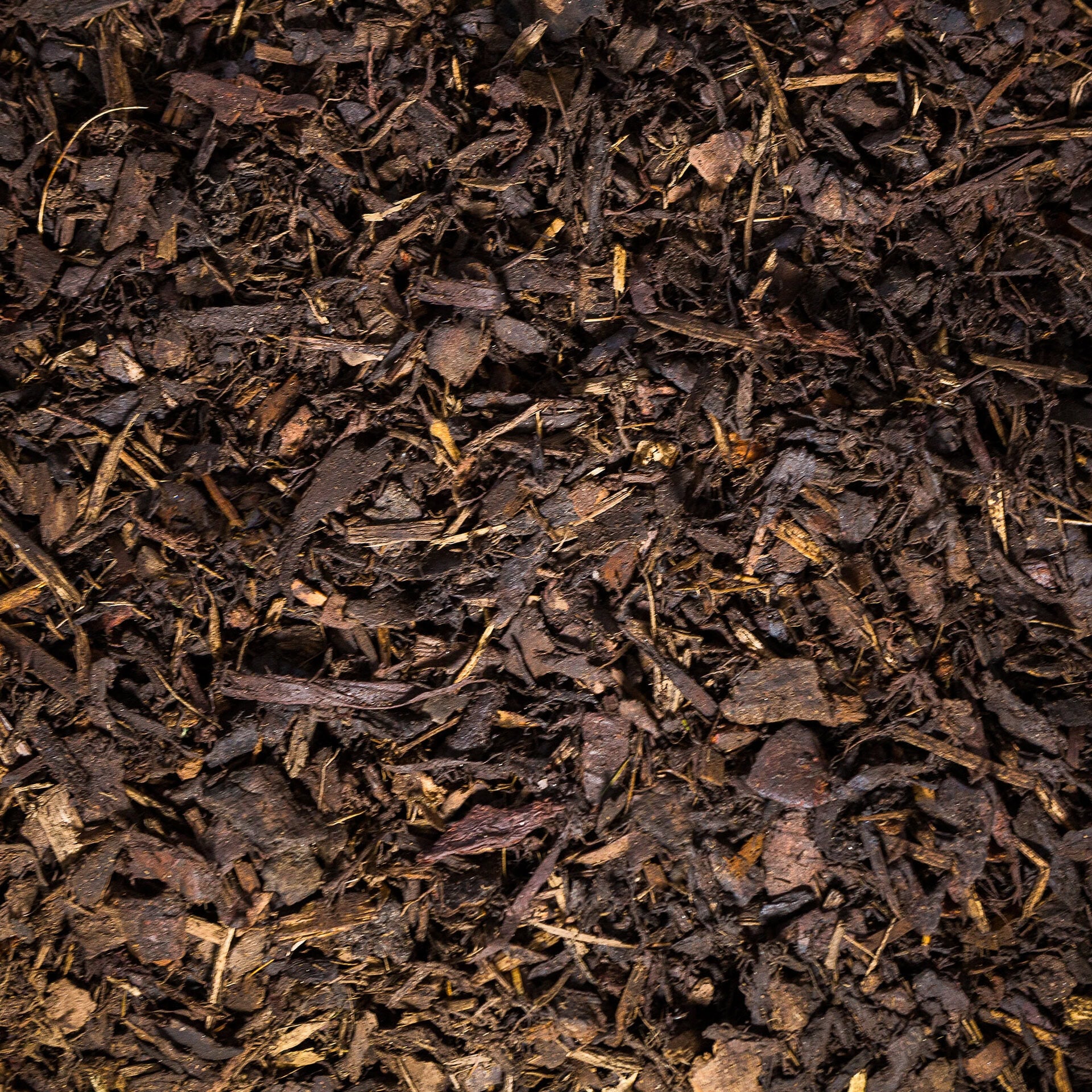 Mini Chip Bark
