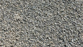 20mm Washed Round Pebble
